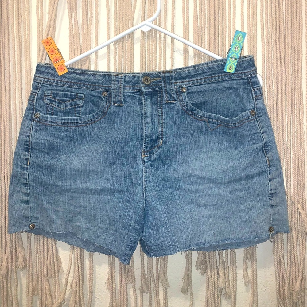 Cut Off Denim Jean Shorts